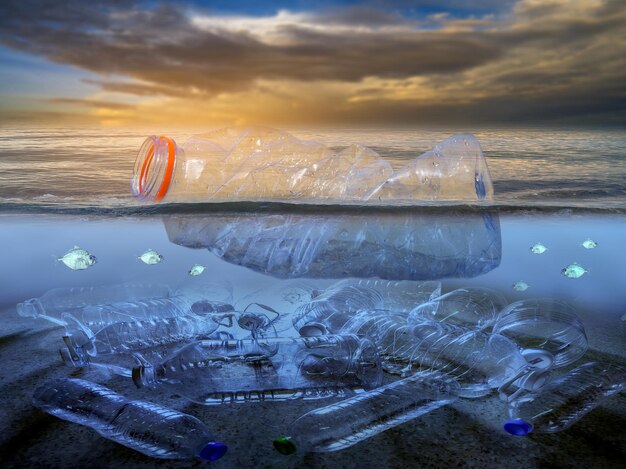 The Future of Sustainable AI: Exploring the Potential of Underwater Data Centers